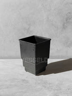 Vesseld.com Black rectangular Mesh Pot for succulents, cacti and orchids