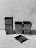 Vesseld.com Set of black plastic Mesh Pots
